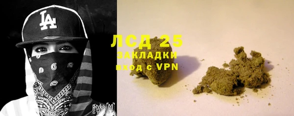 ПСИЛОЦИБИНОВЫЕ ГРИБЫ Баксан