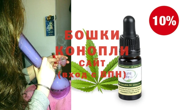 ПСИЛОЦИБИНОВЫЕ ГРИБЫ Баксан